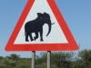 Vorsicht Elefanten